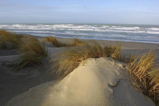 Cote Dune Le Crotoy Exteriér fotografie